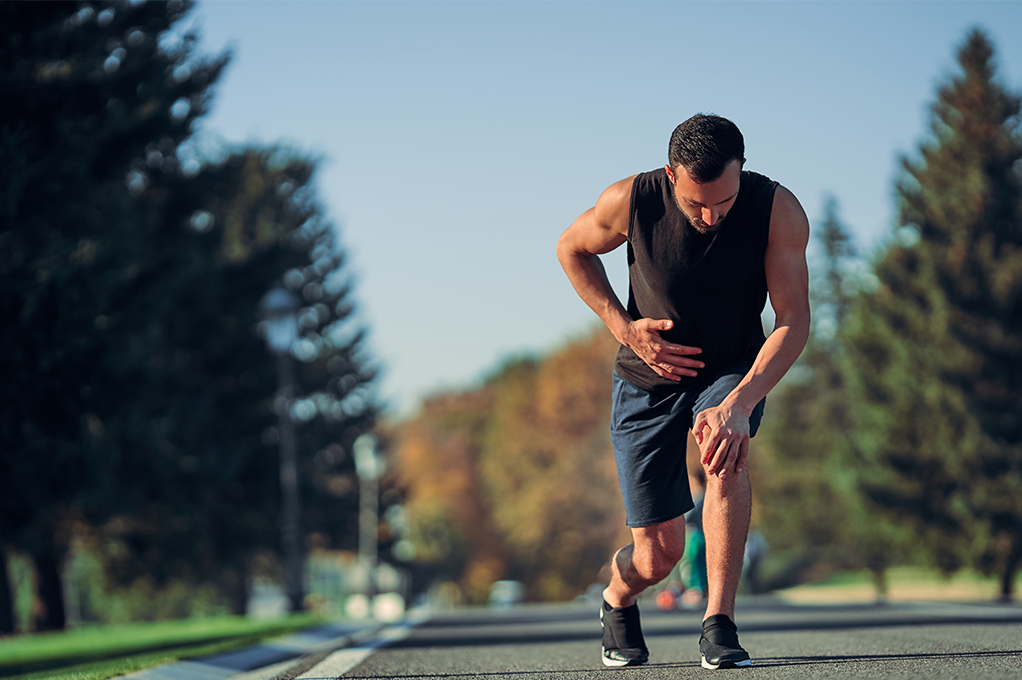 Resolving Issues at the Core of muscle